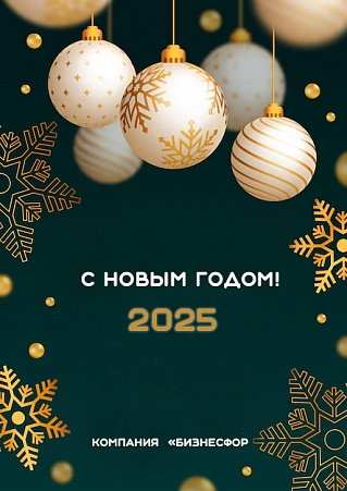 С новым годом 2025 !